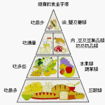 減肥時最好有均衡的蛋白質攝取