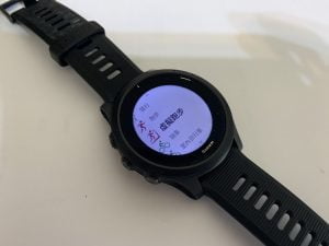 Garmin FR 945