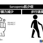 身體年齡維持與防止老化－肌少症