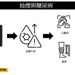 抽煙讓身體尼古丁等有害物質增加，導致胰島素作用不良，進而導致第二型糖尿病產生與惡化