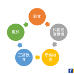 大型臨床研究證實：體重溜溜球效應波動越多，心血管事件越多，死亡率越高