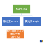 強強聯合+長長聯合！每週一次卡格林肽cagrilintide 2.4 毫克，與每週一次索馬魯肽semaglutide 2.4 毫克聯合治療(CagriSema)，證實可有效控制糖胖症，體重下降幅度達–15·6%
