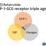 3G減肥時代將來臨！三重激素受體刺激劑瑞他魯肽Retatrutide第二期臨床研究證實可減少體重達17.5%！