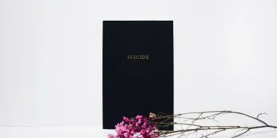 purple petaled flowers near black book