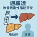 脂肪肝炎有藥醫了！週纖達正式取得適應症