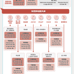 🚨 最新出爐！2026 ADA 成人肥胖治療指引重點精華 🚨