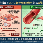 🌟 糖尿病患者的福音？降血糖藥物 Semaglutide 對抗血管鈣化的新潛力！ 💉