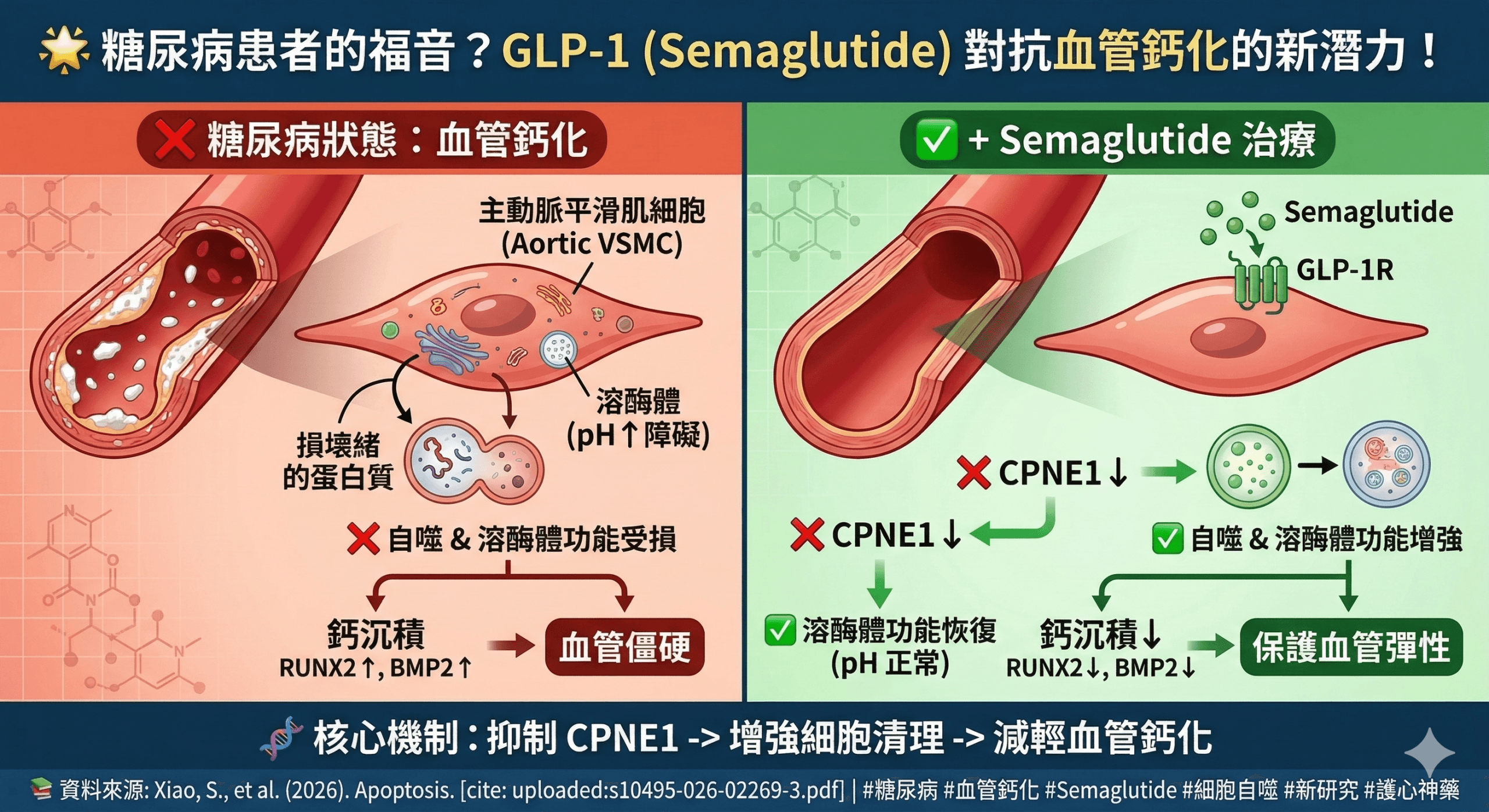 🌟 糖尿病患者的福音?降血糖藥物 Semaglutide 對抗血管鈣化的新潛力! 💉