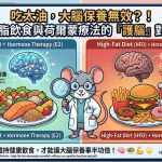 🧠 吃太油，可能會讓荷爾蒙療法的「護腦」效果大打折扣？！ 🍔