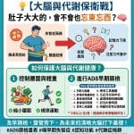 💡 【大腦與代謝的雙重保衛戰】肚子大大的，會不會也忘東忘西？🧠