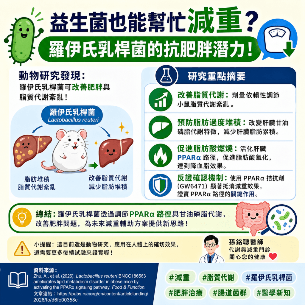 #減重 #脂質代謝 #羅伊氏乳桿菌 #肥胖治療 #腸道菌群 #醫學新知