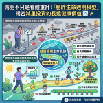 減肥不只是看體重計！「肥胖生命週期模型」揭密減重投資的長遠健康價值 📉✨
