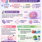 肥胖會影響凍卵品質嗎？最新研究揭密：卵子存活率不變，功能卻大幅下降！