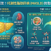 脂肪肝不可輕忽！代謝性脂肪肝病 (MASLD) 的危機與逆轉攻略