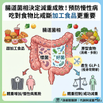 腸道菌相 決定減重成敗！預防慢性病，吃對食物比戒斷加工食品更重要
