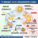 💡 細胞能量的「儲存槽」默默在控制我們的代謝健康！